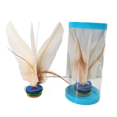 2pcs Kick Shuttlecock Gänsefedern Chinese Jianzi Fuß Kick Sport Shuttlecock - Bild 1 von 4