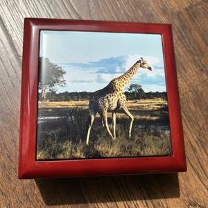 Giraffe Jewelry Box EUC Enameled Wood, Hinged $61 Retail - Picture 1 of 6