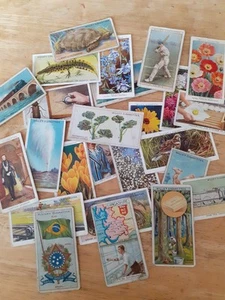 25 Vintage Cigarette Cards Mixed Job Lot - Military, Tech, Nature, Movies (D) - Picture 1 of 1