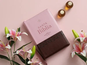 Biblia Cierre Mariposa manual RVR.1960 Letra Gigante 19 Puntos Piel Rosa/cafe - Picture 1 of 4