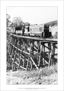 Victorian Railways Clase T Loco A1 Estampado Artístico - Tren de Mercancías - Póster 42 x 29 cm - Imagen 1 de 3