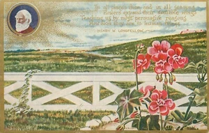 Cartolina Fiori di Stato Henry Longfellow 1909 divisa non affrancata - Foto 1 di 2