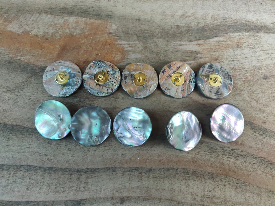 10 dunkle Perlmutt Knöpfe 2cm Perlmuttknöpfe Muschel  - Bild 1 von 1