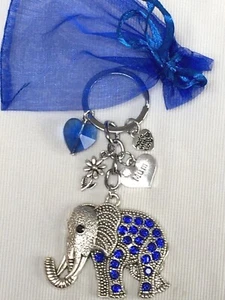 PERSONALISIERTER SCHLÜSSELRING ELEFANT BLAU MUTTERTAG, GEBURTSTAGSGESCHENK, NAMENWAHL - Bild 1 von 5