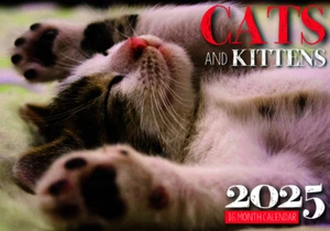 Cats & Kittens - 2025 Rectangle Wall Calendar 16 Months by Biscay - Picture 1 of 1