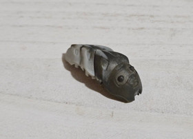 LEGO Bionicle KRAATA Pearl Dark Light Marbled Gray Stage 5 Rahkshi 8591