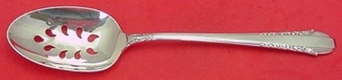 Enchantress by International Sterling Silver Serving Spoon Pcd 9-Hole Custom Cover