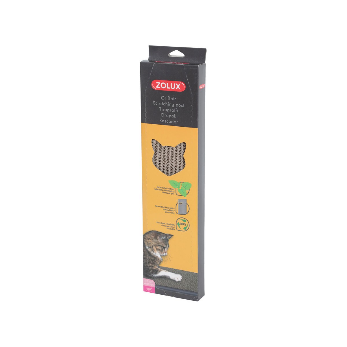 Tiragraffi Per Gatti In Cartone Ondulato - Letto, Lounge E Area Graffi, 100% Riciclabile E Con Menta Biologica