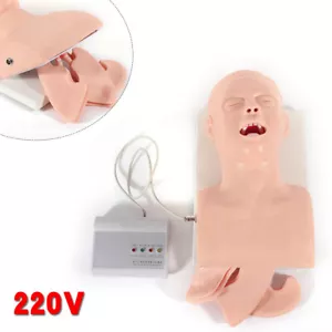 Modelo de Intubación para Adultos Maniquí Manejo de Vías Aéreas Entrenamiento Estudio Modelo de Enseñanza - Imagen 1 de 17