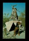 Phoenix, AZ Arizona, Dog House at Mystery Castle, ca 1960's