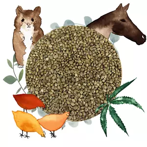 BIO Hanfsaat 10kg Hanfsamen für Vögel, Nager, Pferde, Futterhanf für Tiere - Bild 1 von 4
