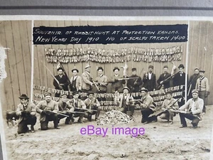 Jan. 1, 1910 PROTECTION, Comanche Co., Kansas RABBIT HUNT Culling CABINET PHOTO - Picture 1 of 5