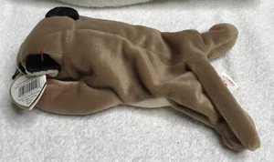 Ty Beanie Baby Canyon the Cougar – 1998 – Retired – Tags Intact – Estate Collect - Picture 1 of 12
