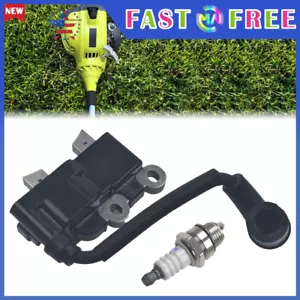 Bobina de encendido 291337001 para recortadora de cuerdas Ryobi RY251PH RY252CS RY253SS RY254BC - Imagen 1 de 8