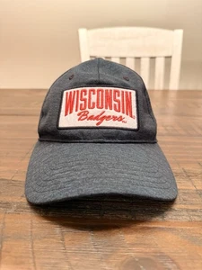 Under Armour Wisconsin Badgers Hat Gray Stretch Fit L/XL Embroidered Logo - Picture 1 of 5