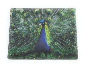 Peacock Pheasant Bird Pavo Cristatus 9x7cm 3D Fridge Magnet Card Picture - Picture 1 of 2