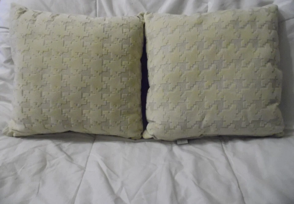 NUEVO Juego de 2 Almohadas Decorativas Glenna Jean Fly-By PLW CRM 12x12x4 WO138 Foto 1 de 1