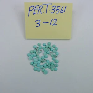 Persian Turquoise 100% Natural 61 Round Shape Cabochon 10.53 TCW - Picture 1 of 4