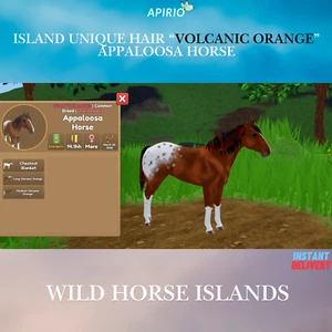 Wild Horse Islands 🖤🧡IUH Volcanic Orange Chestnut Decke Appaloosa Pferd🖤🧡 - Bild 1 von 1