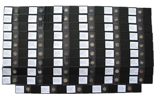 Palaeozoic 59 microfossil matrix slide mounts Cambrian to Permian fossils RARE - Foto 1 di 20