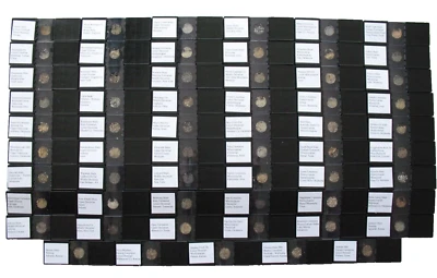 Palaeozoic 59 microfossil matrix slide mounts Cambrian to Permian fossils RARE - Image 1 of 4