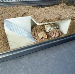 Hermit Crab Decor Underground Bunker Cave Hermit Crab Hide Hideout Decoration - Picture 1 of 9