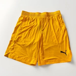 Pantalones Cortos Puma Essential RTG 10” Tela Brillante Para Hombre Nuevos con Etiquetas Talla Grande 670426-39 - Imagen 1 de 6