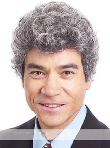 Peluca sintética rizada corta gris plata natural clásica ocio comodidad peluca para hombre - Imagen 1 de 3