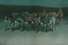An Early Start for Market 1905 by Frederic Remington Giclee Print + Ships Free