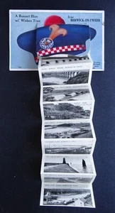 Northumberland BERWICK ON TWEED Novelty Pull-Out A BONNET BLUE c1930s Postcard - Picture 1 of 8