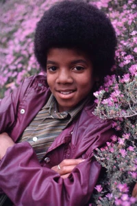 Michael Jackson Young King Of Pop Dancer Musician Wall Art Home - POSTER 20x30 - Picture 1 of 3