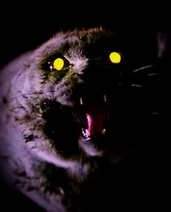Haustier Sematar Katze Kirche NEU kleiner holografischer Aufkleber Horrorfilme 80er - Bild 1 von 4