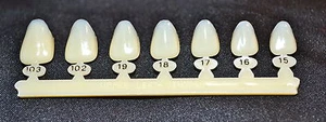 #9 Coronas temporales de policarbonato dental superior izquierdo - 7 tallas - Imagen 1 de 4