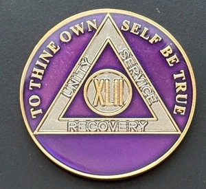 Alcoholics Anonymous AA 42 Purple Years Recovery Token Coin Chip - Picture 1 of 2