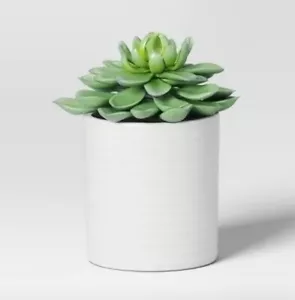 Threshold Faux Arrangements Succulent 4 Pack! - Picture 1 of 3