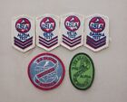 Ice Skating Institute of America Embroidered Patches (Lot of 6)