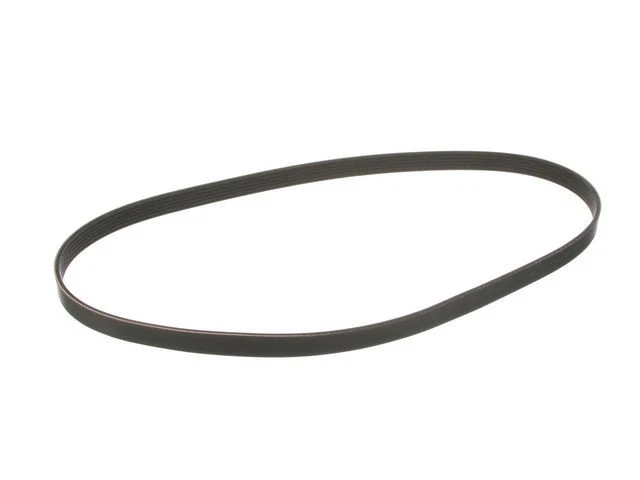 Cinturón Multi Rib 96DZSG93 para Honda Accord 2001 2000 2002 1998 1999 Foto 1 de 1