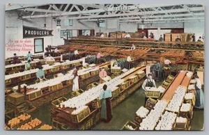 Postcard An Up to Date California Orange Packing House Unposted - Picture 1 of 2
