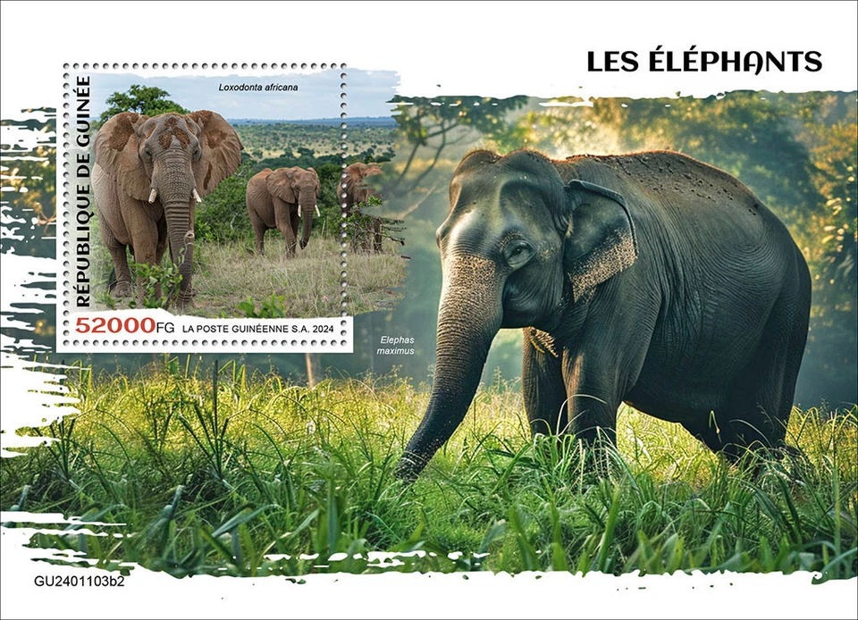 Elephants MNH Stamps 2024 Guinea S/S - Image 1 of 1