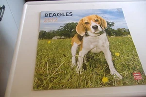 ~BEAGLES~2012 DOG CALENDAR~BROWN TROUT~ - Picture 1 of 12