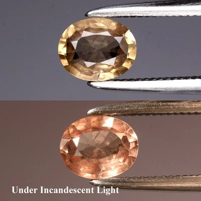 💎 Granada oval de mudança de cor natural 0,50 ct 5,5 x 4,5 mm - Pedra preciosa africana não aquecida - Imagem 1 de 4