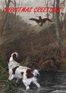 WELSH SPRINGER SPANIEL AND BIRD SINGLE DOG PRINT GREETING CHRISTMAS CARD - Picture 1 of 1