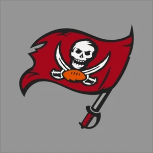 Calcomanía de vinilo deportiva Tampa Bay Buccaneers NFL Team Pro deportes ventana pared coche - Imagen 1 de 4