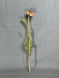 Christine McVie Fleetwood Mac Personally Owned Pink Flower From Bedside Table - Picture 1 of 10