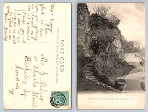 Surrey - Castillo de Farnham, en The Grounds - Publicado 1903 - Imagen 1 de 1