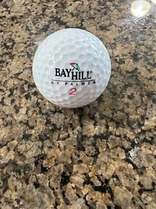 LOGO GOLF BALL-ORIGINAL BAY HILL BY PALMER DT TITANIUM3‼️ - Picture 1 of 3