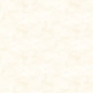 Northcott - Toscana - Tonal Textur - Porzellan, Stoff Meterware - Bild 1 von 7