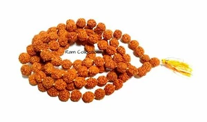 YOGA HEALING 5 MUKHI RUDRAKSHA MALA 5 FACE RUDRAKSH 10 MM BEADS SIZE ENERGIZED - Picture 1 of 1