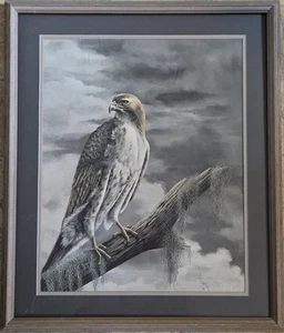 Vintage Signed Imogen Farnsworth  Lithograph  Red Tailed Hawk Framed Limited - Picture 1 of 4