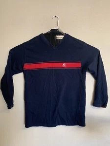 Chaps Ralph Lauren Sweater Men's Size L Blue/Red V Neck Pullover Cotton L/S - Picture 1 of 5